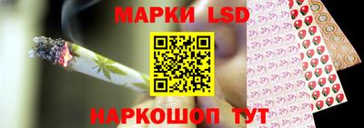 тгк Кингисепп