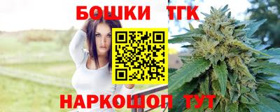 тгк Кингисепп