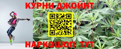 тгк Кингисепп