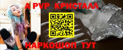 тгк Кингисепп